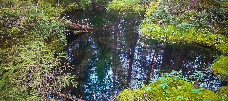 Metsässä oleva lähde